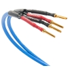 KABEL GŁOŚNIKOWY Melodika Sky Blue SBSC2515 OFC 4N 2x2,5mm2 1,5m